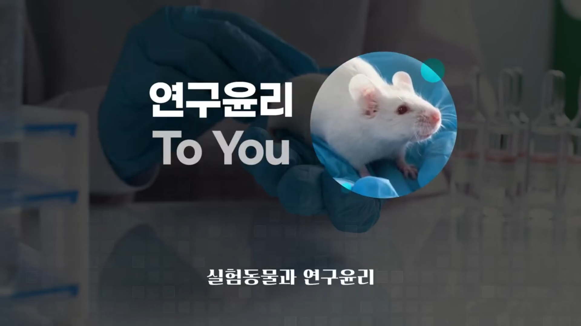 thumb_imgs